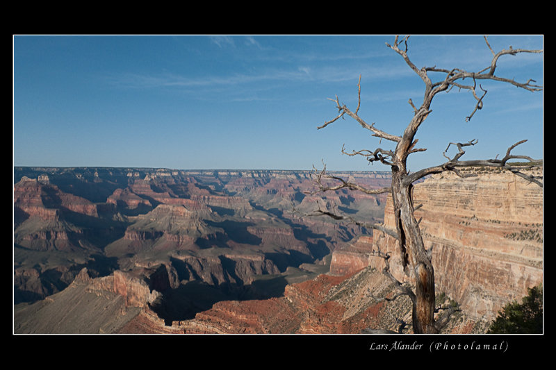 Tavla med motiv från Grand Canyon, Arizona